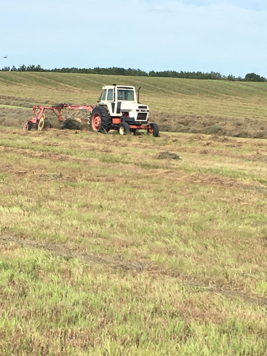 millardfarms's tweet photo. Jay sent me this picture with the caption “this would put a smile on Grandpa’s face”. Conner has taken over his Grandpa Leo’s tractor and rake and I can only imagine the smile on that’s on his face as he goes on his own. 💕 https://t.co/Esdy3kydPg