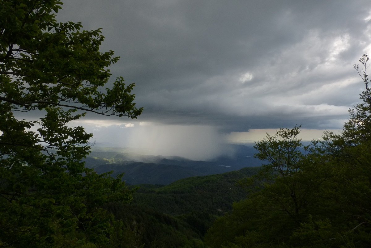 BretPhotos's tweet photo. Horizontal #rainbowfrom #Montseny mountains land. Sometimes it's possible. Pictures from 2 springs ago. https://t.co/lfcQeezrf2  - #meteo #rain #horizons #EarthObservation @EarthPic #nature #NatGeo #landscape #photography #paysage #clouds #lifestyle #lovenature https://t.co/yLRntJO3H0