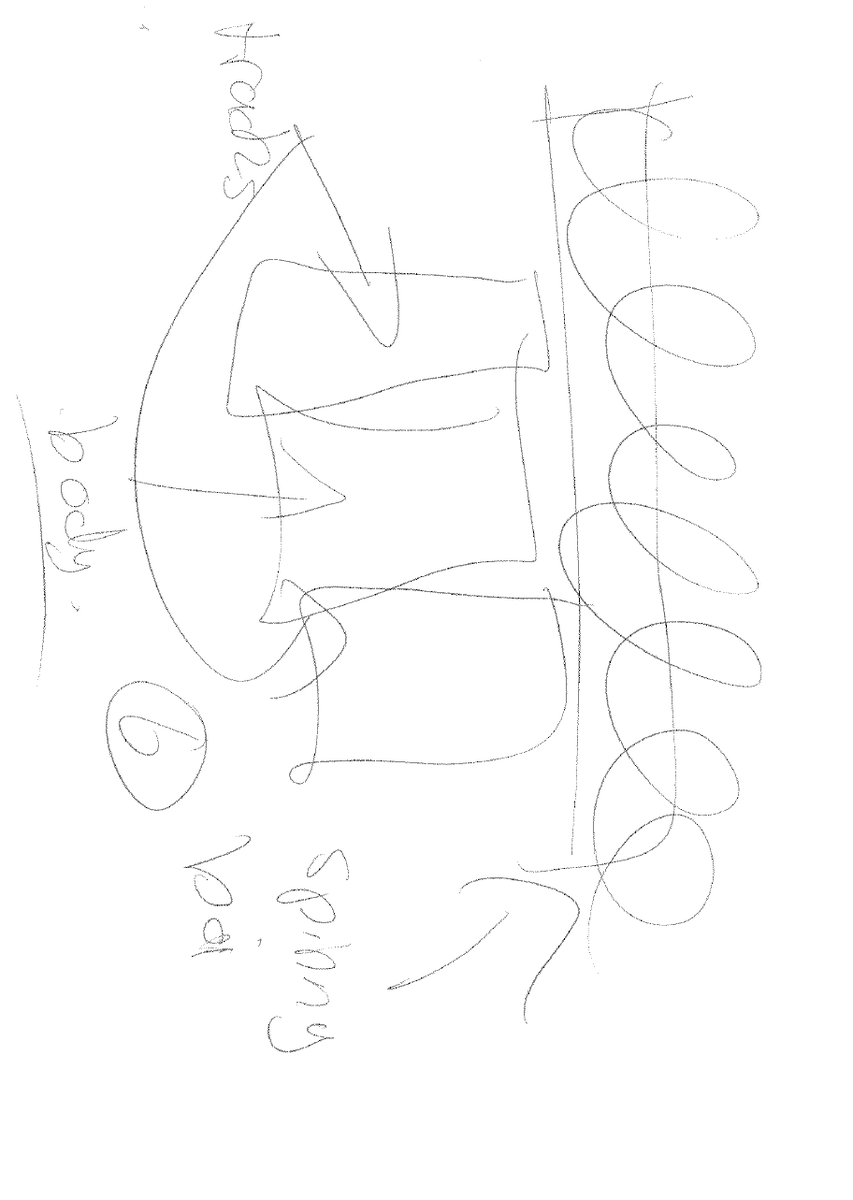 PP3Drobotics tweet media