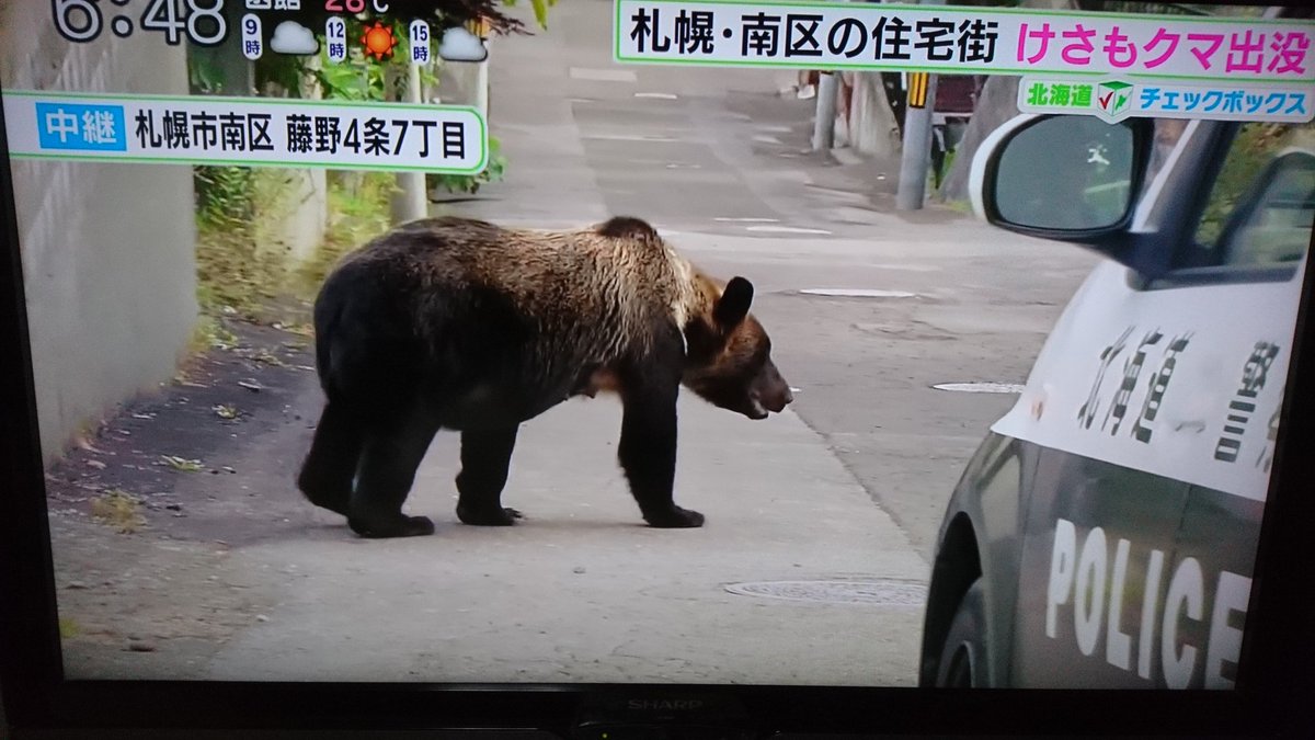 Japanesevoice19 熊の苦手なものはヘビ 生きたヘビですよ 映像では本能的に 逃げているようでしたので 効果大ですね