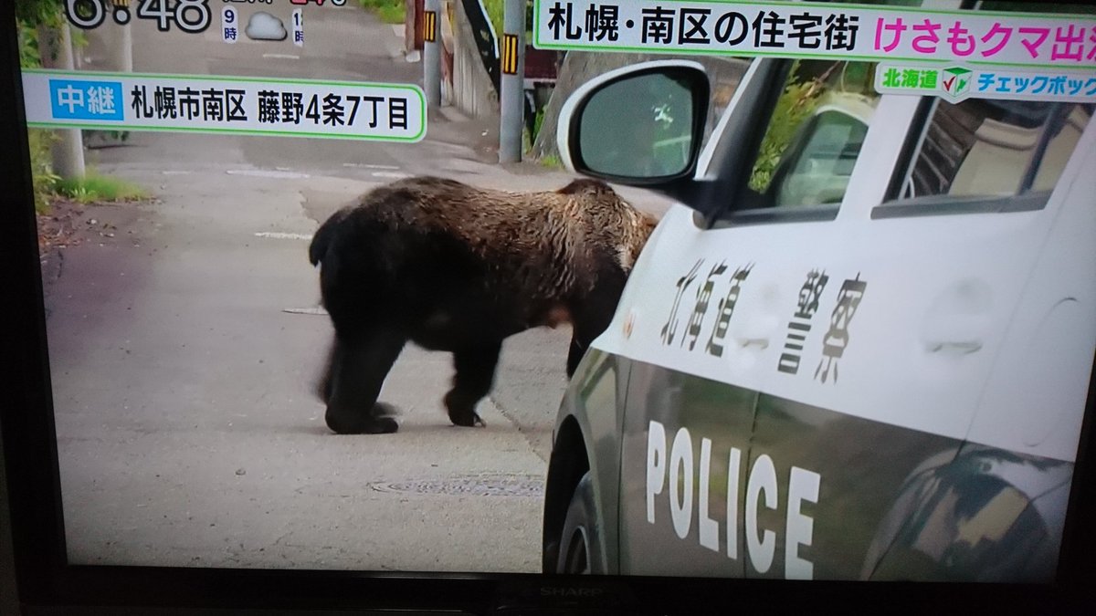 Japanesevoice19 熊の苦手なものはヘビ 生きたヘビですよ 映像では本能的に 逃げているようでしたので 効果大ですね