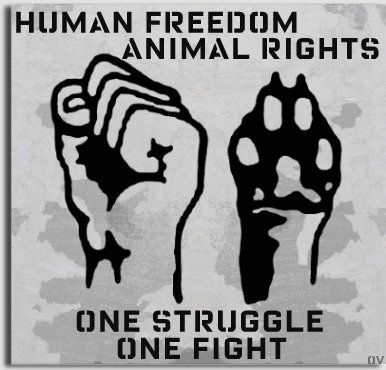 UnKn0wnNymiss's tweet photo. https://t.co/KrfFqFaUuW
