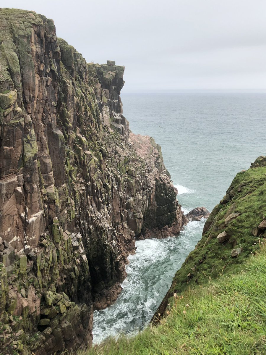 MiddletonofRora's tweet photo. Enjoyed the most wonderful guided walk with the ranger at #longhavencliffs our local @ScotWildlife reserve - the #worldsnarrowestnaturereserve with the broadest of discussions #birds #butterflies #geology #socialhistory #environment thank you Benedict @SWTAberdeen #Aberdeenshire https://t.co/GgwCGUD2wn