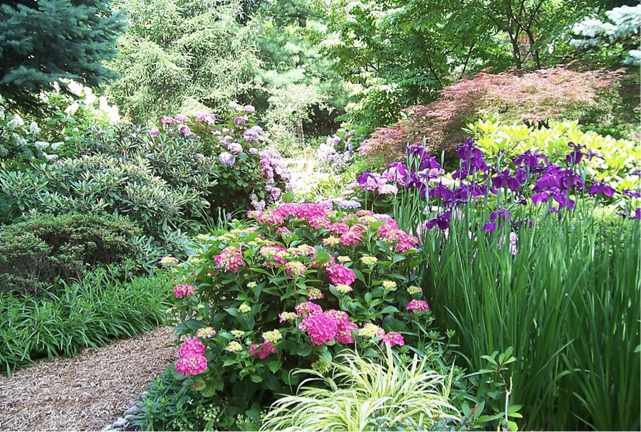 MiamiValleyHsta's tweet photo. Want to know “How to Have a Beautiful Garden Without Having an Ugly Shovel”? Pat Stidham offers advice at our next MVHS meeting.
Open to the public. Join us!
Tuesday, August 13, at 7:00 p.m. 
Miami Township Public Library Community Room
2718 Lyons Rd.
Miamisburg, OH 45342 https://t.co/3mQ5rm4cjK