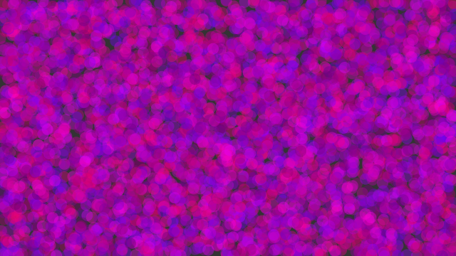 bot_apa's tweet image. #codingrainbow live from node.js