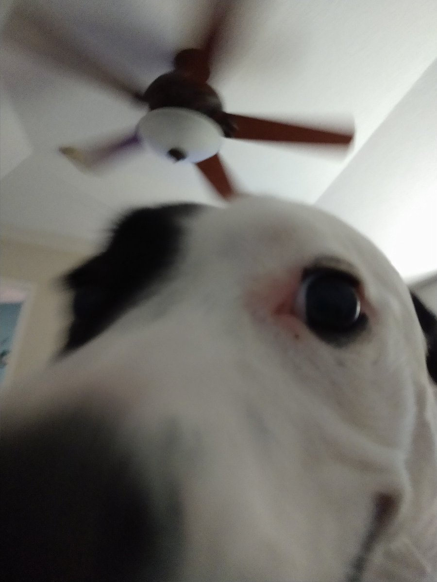 Terra Jones On Twitter With About 15 To Go Charlotte Decided I