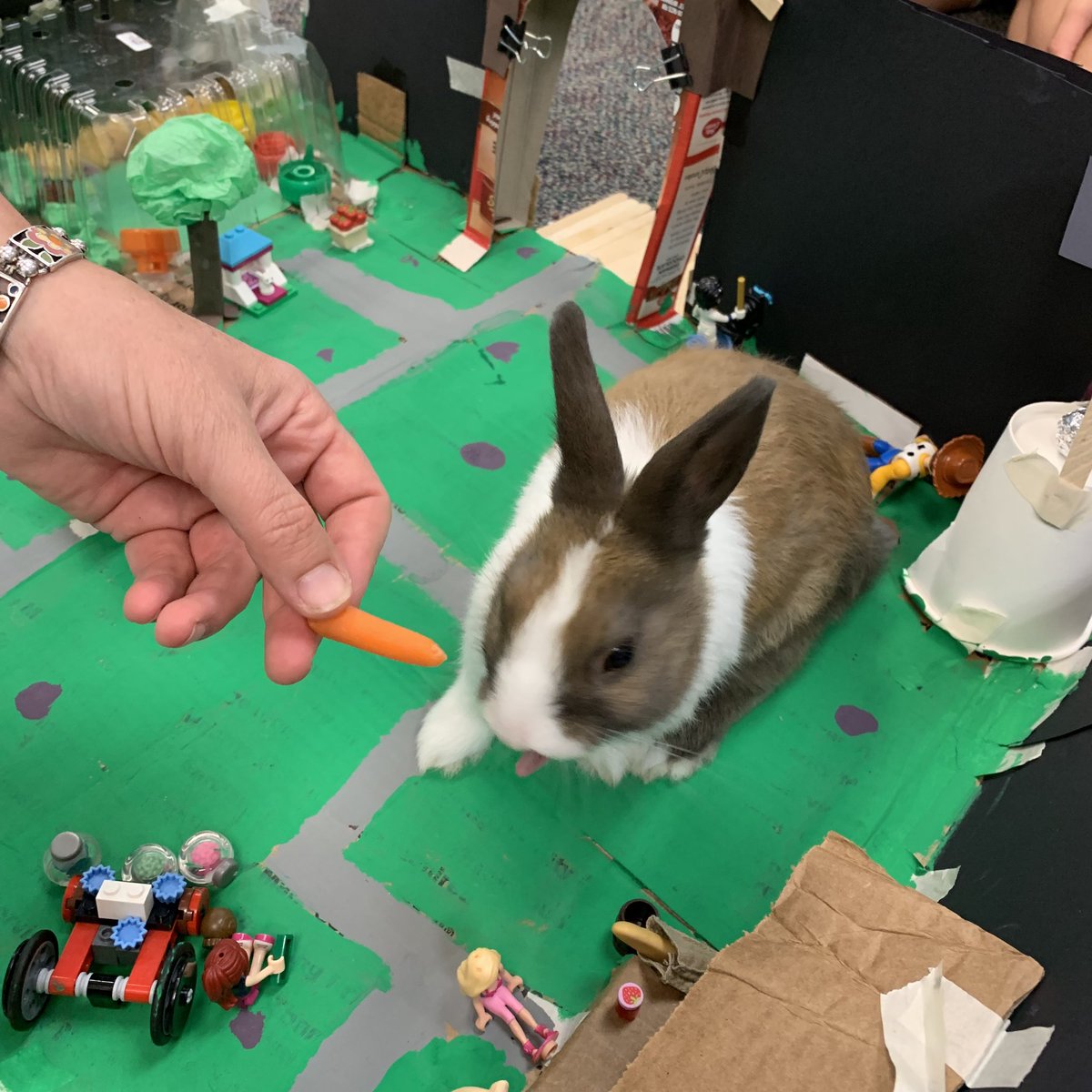 WriteToAchieve's tweet photo. Innovative STEM castles became perfect homes to our guest bunnies! #WriteToAchieve #summercamp #studentcentered #educate #inspire #innovate https://t.co/w9MYI7nIXI
