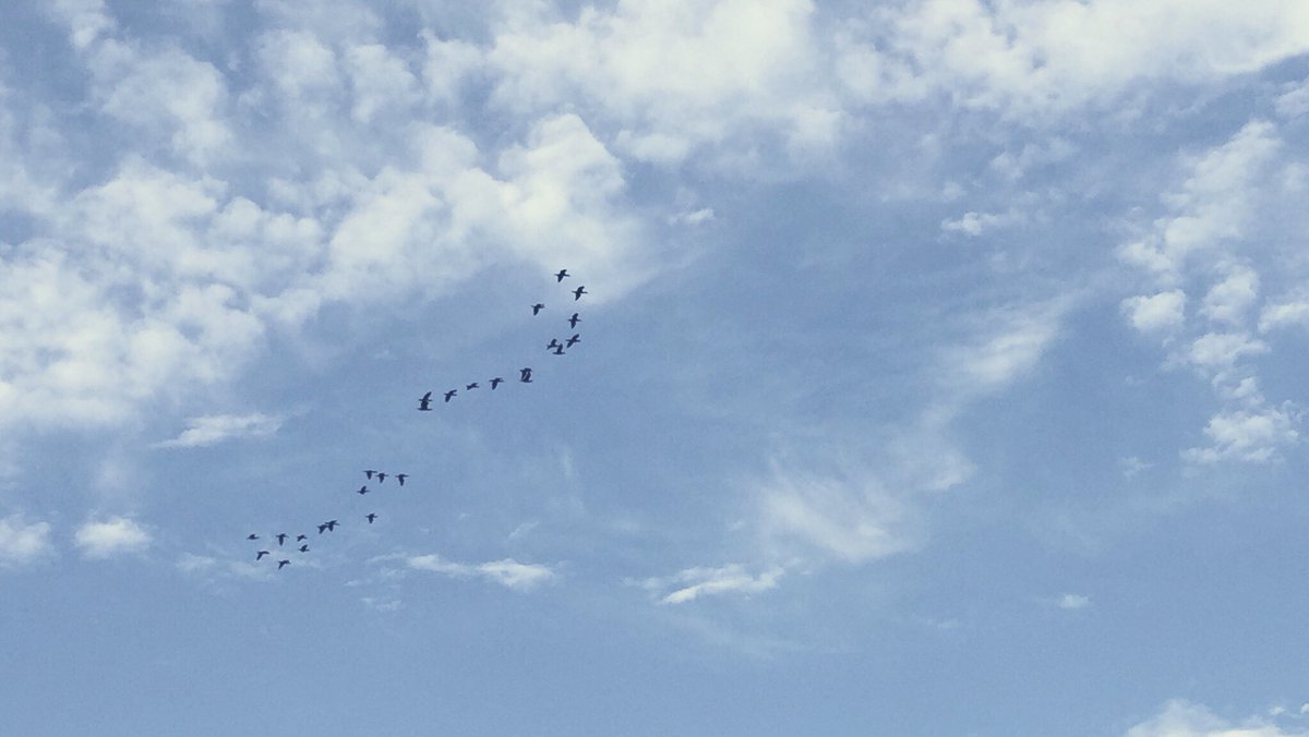 Niko ㅤ きみがいたから 勇気を覚えて 知らない場所も 目をつぶって走れた きみのためにできることを あれからずっと探してる 全部だきしめて きみと歩いて行こう きみが泣くのなら きみの涙まで 全部だきしめて きみと歩いて行こう きみが笑うなら きみの