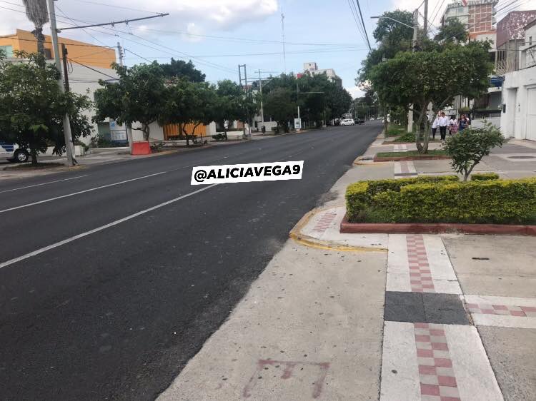 ALICIAVEGA9's tweet photo. Imagínate ellos integraron cuadrillas de limpieza recogieron  toda la basura de la avenida Vallarta, hasta de los mismos cestos del ayuntamiento y aquí una muestra 👍🏻 2/2 https://t.co/dP5jGToPV0