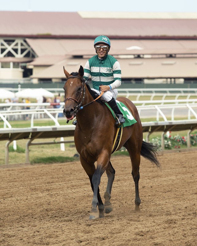 sadlerracing's tweet photo. Inspiressa debut - what a beautiful race @DelMarRacing Congrats to all her connections and our amazing team at the barn ! We could not be more proud ! @westpointtbred @KostaHronis @johnwsadler @JuanLeyva1984 @stephrosa3 https://t.co/G2lw8ypnJK