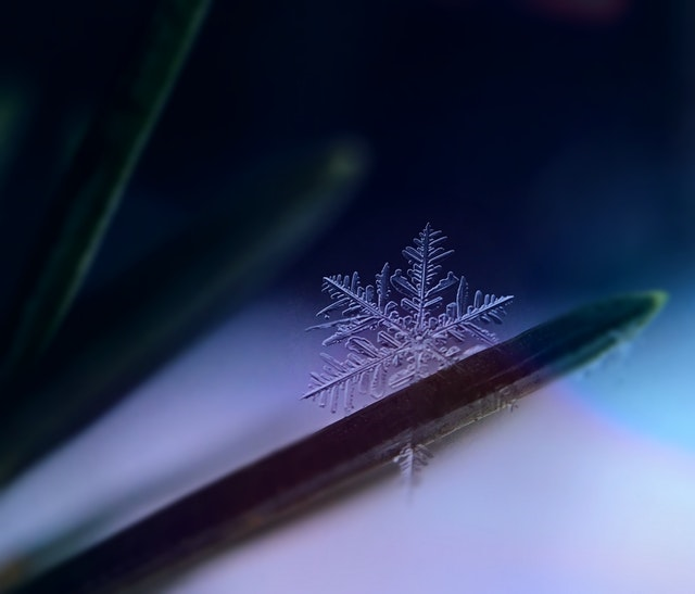 BizData_News's tweet photo. Brisbane - The Snowflake and Bizdata Source to Insight data analytics roadshow is headed your way! 

Sign up today for a free afternoon session of data, analytics, drinks and canapes: 

https://t.co/ebmpuJzzOJ

#Snowflake #Data #DataAnalytics #BI #BigData #Brisbane https://t.co/0xLAO0SNuM