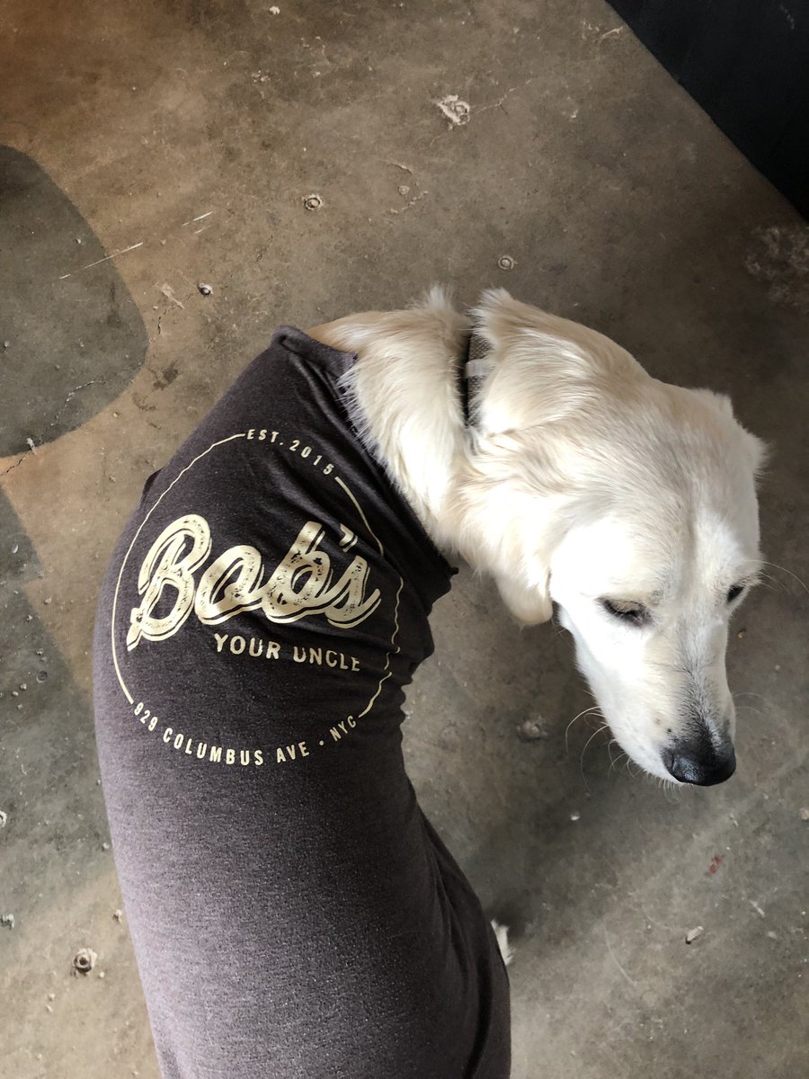 So this little rascal decided that my new favorite shirt was also the one he wanted to chew the most. Kind of a dick move. I made him wear it to teach him a lesson 🤣🤣 guess I’m headed back to NYC soon for another shirt from <a href="/Bobsyouruncleny/">BOB'S YOUR UNCLE</a>