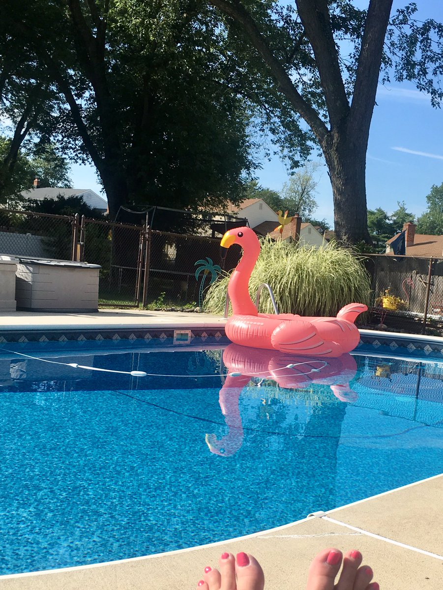 loritom61's tweet photo. Very long, aggravating, exhausting 6 day week! So, went to visit my friend #freddieflamingo today. #lazyhazycrazydaysofsummer https://t.co/bMJtDqmyEJ