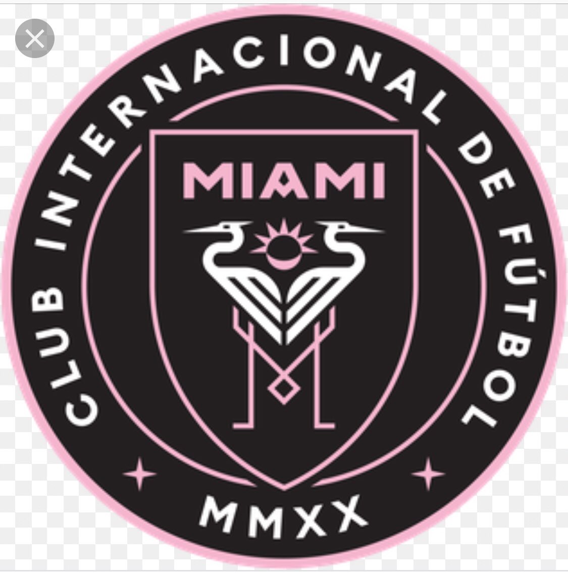 <a href="/ECavaniOfficial/">Edi Cavani Official</a> a la <a href="/MLS/">Major League Soccer</a>!!
El goleador #uruguayo sería nuevo jugador del <a href="/InterMiamiCF/">Inter Miami CF</a> al terminar su contrato con <a href="/PSG_inside/">Paris Saint-Germain</a> en Junio próximo
El máximo anotador de la historia de <a href="/PSG_espanol/">Paris Saint-Germain</a> estaría trayendo sus #goles a la nueva #franquicia de @futbolMLS 
<a href="/FOXDeportes/">FOX Deportes</a>