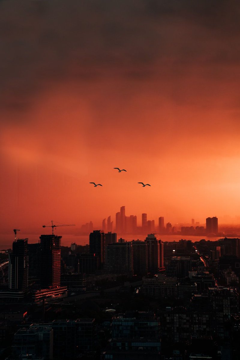 Tinted red 
Feature: Marcelo Cidrack
unsplash.com/marcelocidrack