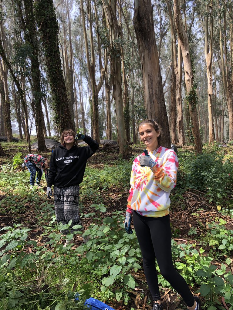 ExpeditionTeen's tweet photo. Volunteering today at the Presidio restoration site in SF. Our group of 10 spent 2 hours pulling invasive plants beneath the historic eucalyptus trees, as part of the forest management program. Tonight, we camp in this same park! 📸 https://t.co/oFcSzFPjiZ