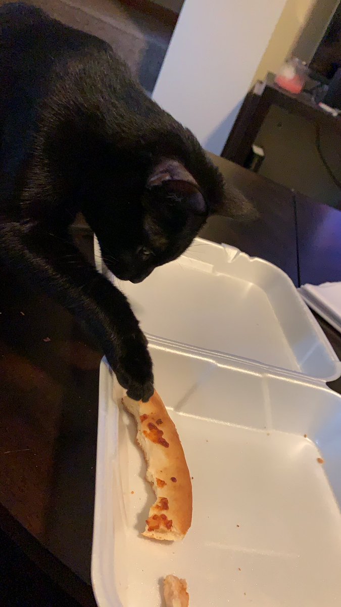AryatheCat2's tweet photo. Just tryna get dis bread. #singlemomlife https://t.co/EHsD4VqokO