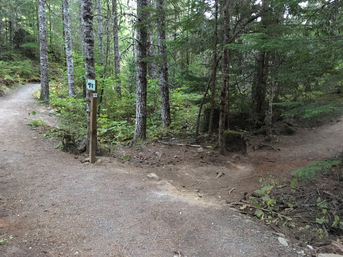 ListelWhistler's tweet photo. Looking for a unique Whistler experience? Try the Train Wreck hike.

In 1956, a train derailed and since then, the scattered railway boxcars have acted as a canvas for local artists. The hike is accessible and only takes an hour round trip.

#ListelLiving #InTheHeartOfItAll https://t.co/WnPLHk8CD7