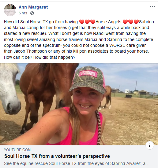 AboutRandi's tweet photo. I get home from a week at the beach and see that I've missed a lot.  At the very top is that Randi's #1 fan "Ann Margaret" is finally starting to see the light.  Ann, did you miss where Randi was boarding a bunch of horses with another kill buyer in Texas until it got outed? https://t.co/7B8jnShbeN