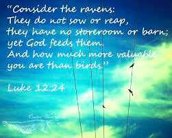 sharonePack's tweet image. There have been times of Abundance and times of 
complete dependence upon 
God’s Daily Provision 

In All Season’s God has been #Faithful 

I will Sing and Praise #TheLord,
For He is So Good! 

#TrustingJesus