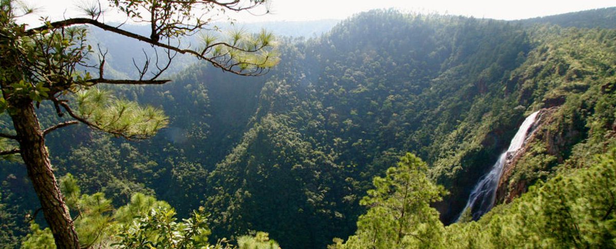 AdventuresBz's tweet photo. If you enjoy being in nature then Belize is definitely the place for you! 🍃 Read more here: https://t.co/duTFiZ58OA

#Belize #AdventuresinBelize #AdventureVacations #BelizeTravel #BelizeAllInclusive #BelizeResorts https://t.co/upcdOYwvpG
