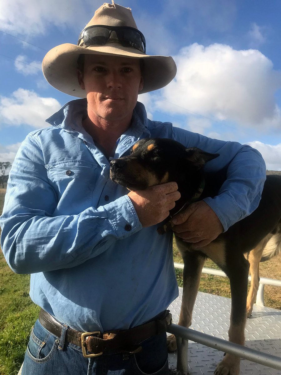 OzDogLover's tweet photo. And they're off and racing! The 2019 #CobberChallenge starts today and 11 #dogs from across #Australia are competing to win the title of Australia's hardest working dog. This national competition sees the dogs' movements tracked every day for three weeks. 
https://t.co/819cS5O4uY https://t.co/yHwj9VMrbj