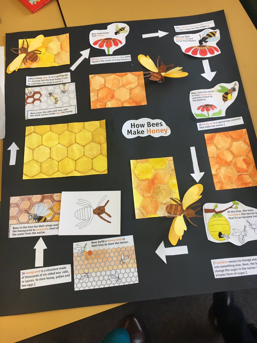 AnjaliRao6's tweet photo. We love Bees at CCPS!! Check out the wonderful #STEAM work happening in preparation for #ScienceUndertheStars #NationalScienceWeek @Aus_ScienceWeek @AlisonAuld2 @susiej18 https://t.co/te6efCPZuN https://t.co/BcRduWFd2P