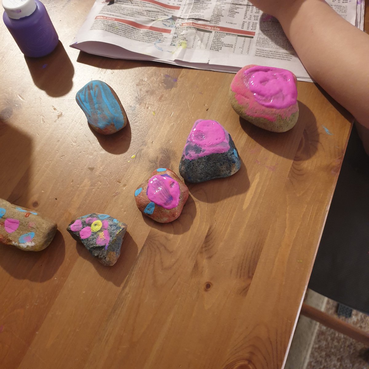 NonsenseMJ's tweet photo. Rock painting #EleanorContent These are all from our side garden https://t.co/5hpBpFQWJ1