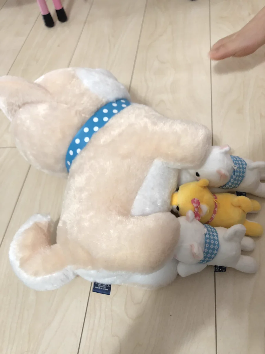 左の娘の遊び方を見て学び、2歳の息子の導き出した一つの答え!!上からの学びが可愛い!!!!