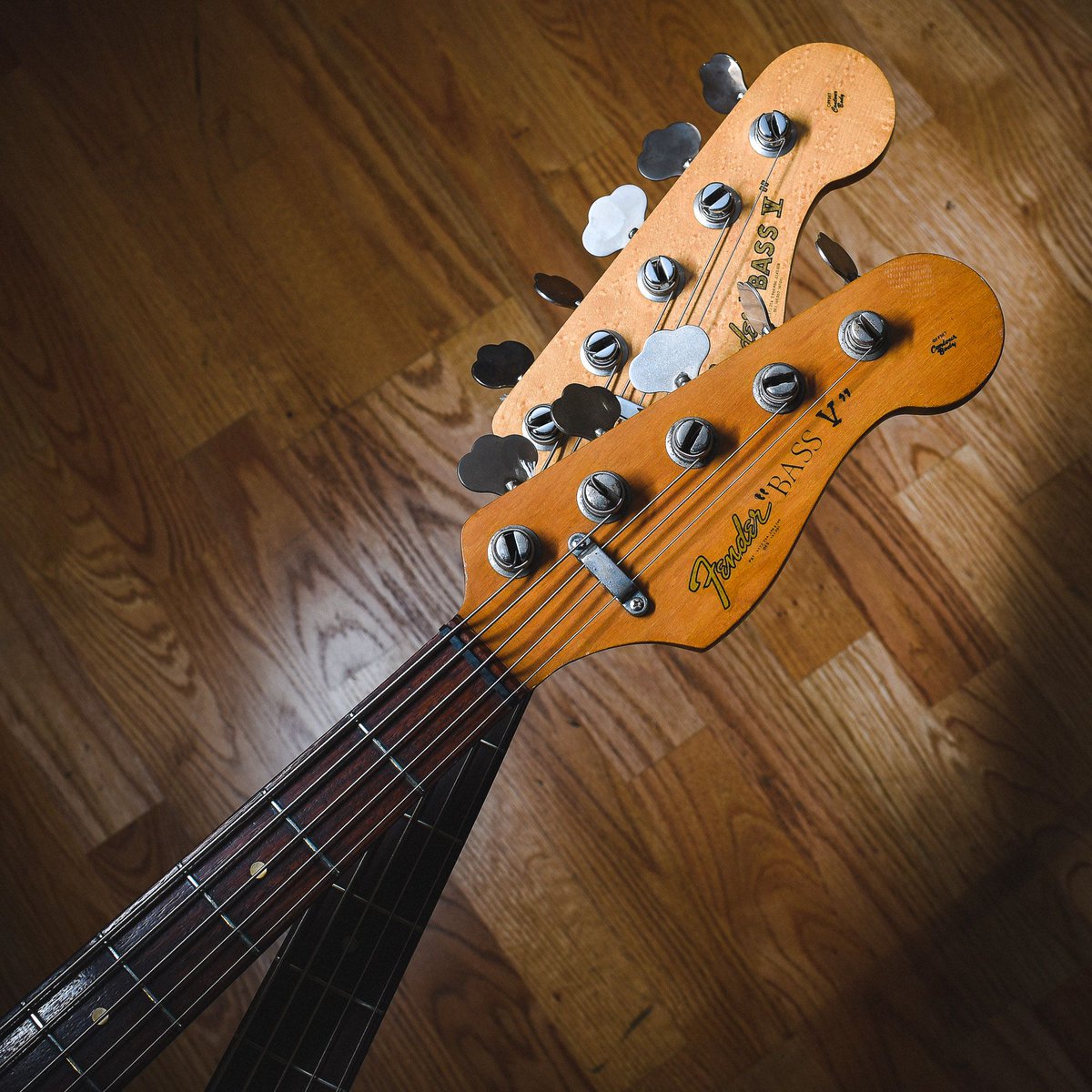 cmeBASSment's tweet photo. No contending here! These twin ‘66 Bass V headstocks are long-standing members of the Headstock Hall Of Fame. https://t.co/KgGUrgq3pV
#chicagomusicexchange #thebassment #fender #bassv #1966 #vintage #basstalk #bassplayer #tonemob #knowyourtone #gearwire #gearybusey https://t.co/kRO70DSgs1