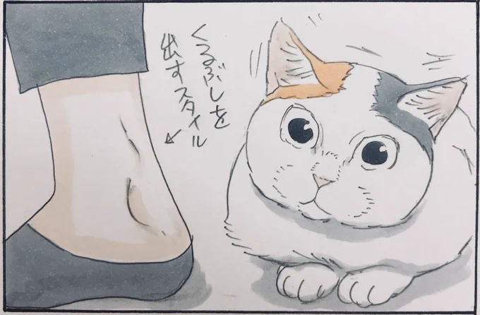 『猫はわかってる』 