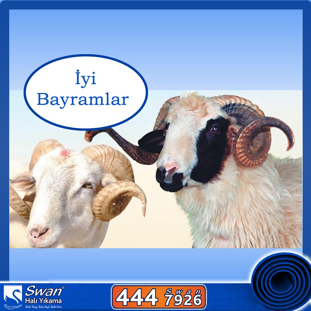 Swanhaliyikama's tweet photo. Sevdiklerinizle beraber güzel bayramlar geçirmenizi dileriz. 
#KurbanBayramı #Bayram #Swanhalıy��kama https://t.co/NFSX9awVvY