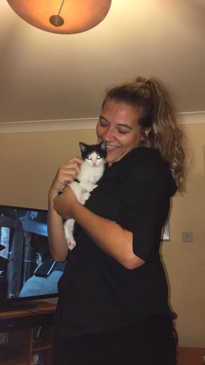 NancyMoodie's tweet photo. “Who need boys when when you have cats” @hannahfran_bird #kitten #BabyMia #happynancy #catsmakemehappy https://t.co/kX1S7DJuCV