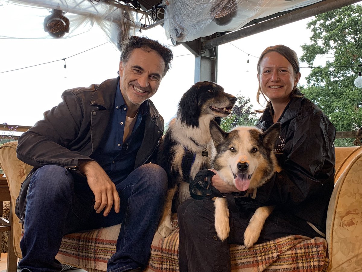 ProfNoelFitz's tweet photo. Ready to broadcast live on @GMB this morning from @Raystede with the lovely Skye, Sonny and Kennel Manager Val #AnimalRescueLive https://t.co/1mQP61dHft