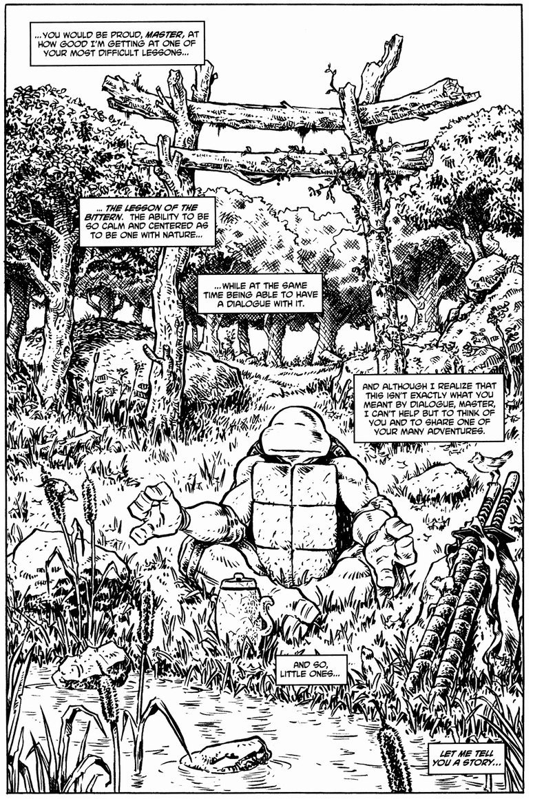 Peter Laird! It's a shame Mirage never made any of these into posters. God, look at that wood.