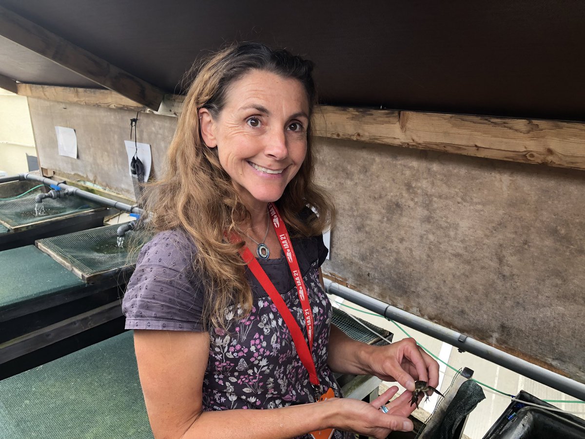 movedecologist's tweet photo. Next step: Bristol. At the @BristolZooGdns I met Jen Nightingale to talk all things White-clawed Crayfish and Tim Bray to discuss conservation of the critically endangered Lemur Leaf Frog. Also met Stephanie Peay to talk more crayfish. @ChurchillTrust https://t.co/4QPtbkLNPp