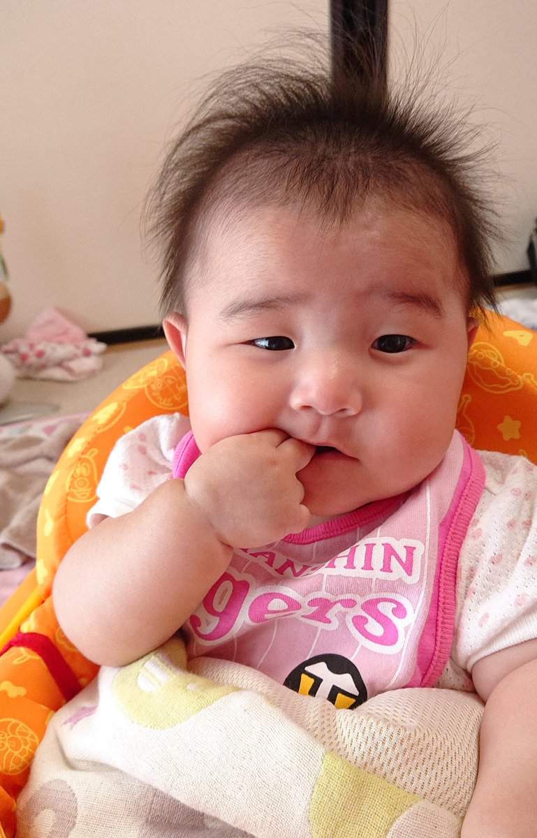 るなまま 2y1m するめいか食って 野球観戦してる阪神ファンの おっさんみたいだなww