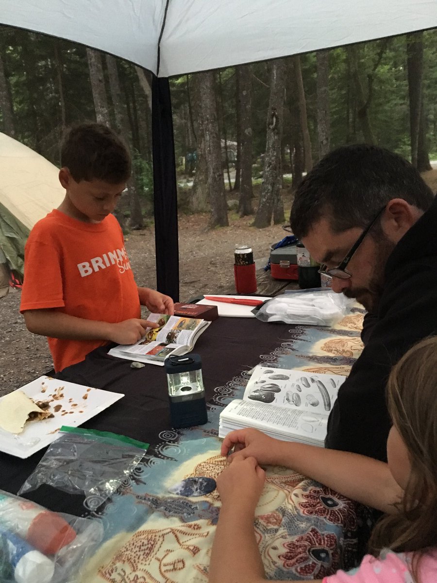 Dr4Liters's tweet photo. Field guides out! Identifying wildflowers, shells, and ferns in #Acadia Nat Park https://t.co/XdRb3rtDzK