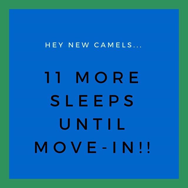 ConnColl_REAL's tweet photo. @conncollege #conncoll2023 #connsaidyes #letthejourneybegin https://t.co/jdjQ6R60mt https://t.co/DrF0mA9FUa
