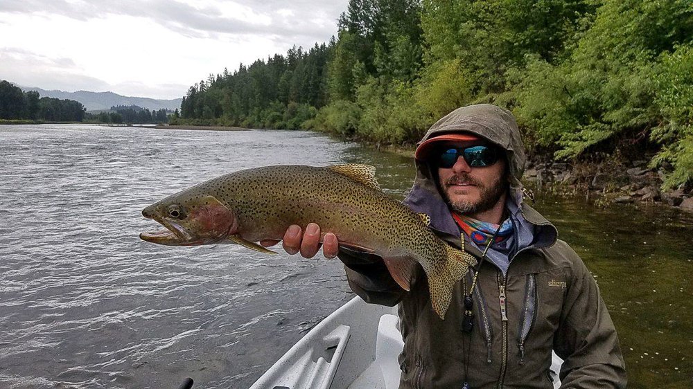 TroutOutfitters's tweet photo. Re:  Missoula, Montana Fishing Report for the week of 8/11/2019 - https://t.co/tvGzDmYHLY #fishingreport #montanafishingreport #missoulafishingreport #flyfishing #flyfishingmontana #blackfootfishingreport #bitterrootfishingreport #flyfishingmissoula #troutfishing #bigtrout https://t.co/LDHib35xUU