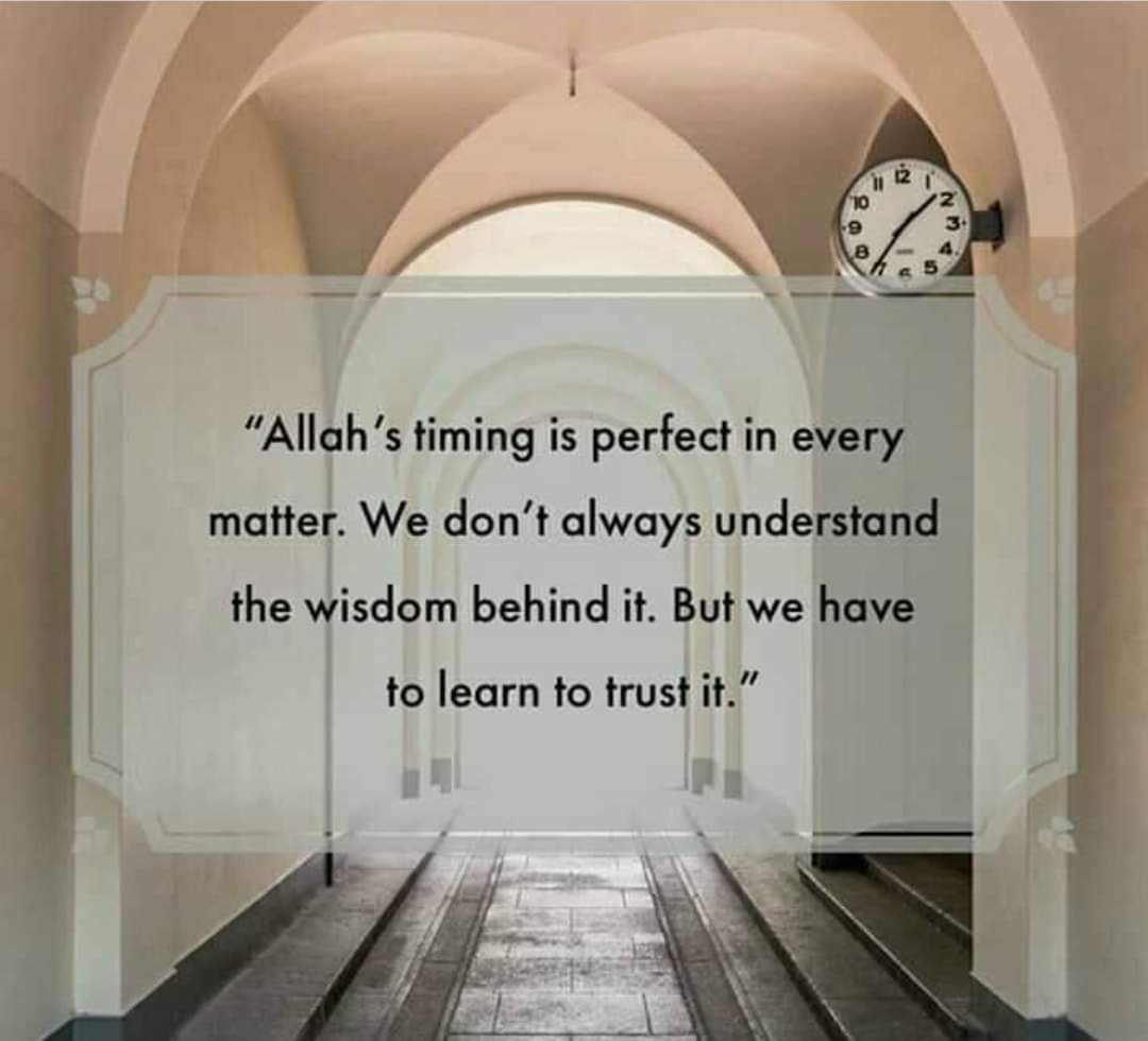 AskusaboutIsla1's tweet photo. #AllahuAkbar #Islamic #Muslim #Muslims #muslimah #Quran #hadith #islam #shahada #revert #alhamdullillah #hajj #allah #sabr #nabi #Allah #kabah #prayer #dua #hijab #beard #prophetmuhammadﷺ #ProphetMuhammad https://t.co/uYzkKHijCb