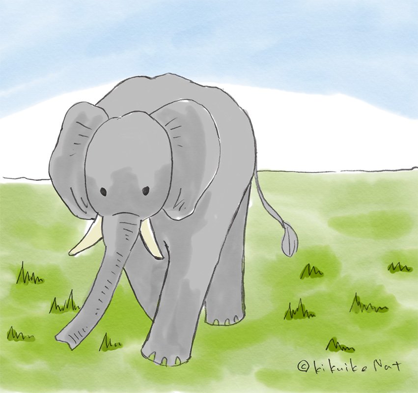 ゾウイラスト Anazhthsh Twitter
