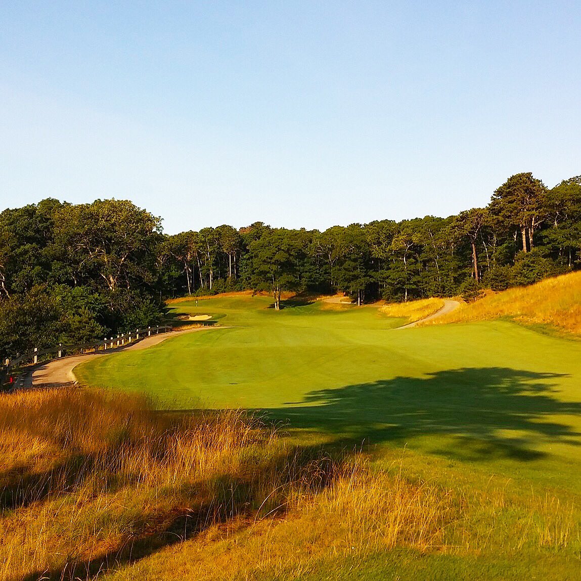 L93_BentGrass's tweet photo. Played the track from my summer 2012 internship #CCN #TurfLife #GolfCapeCod https://t.co/H5UaBG97dB