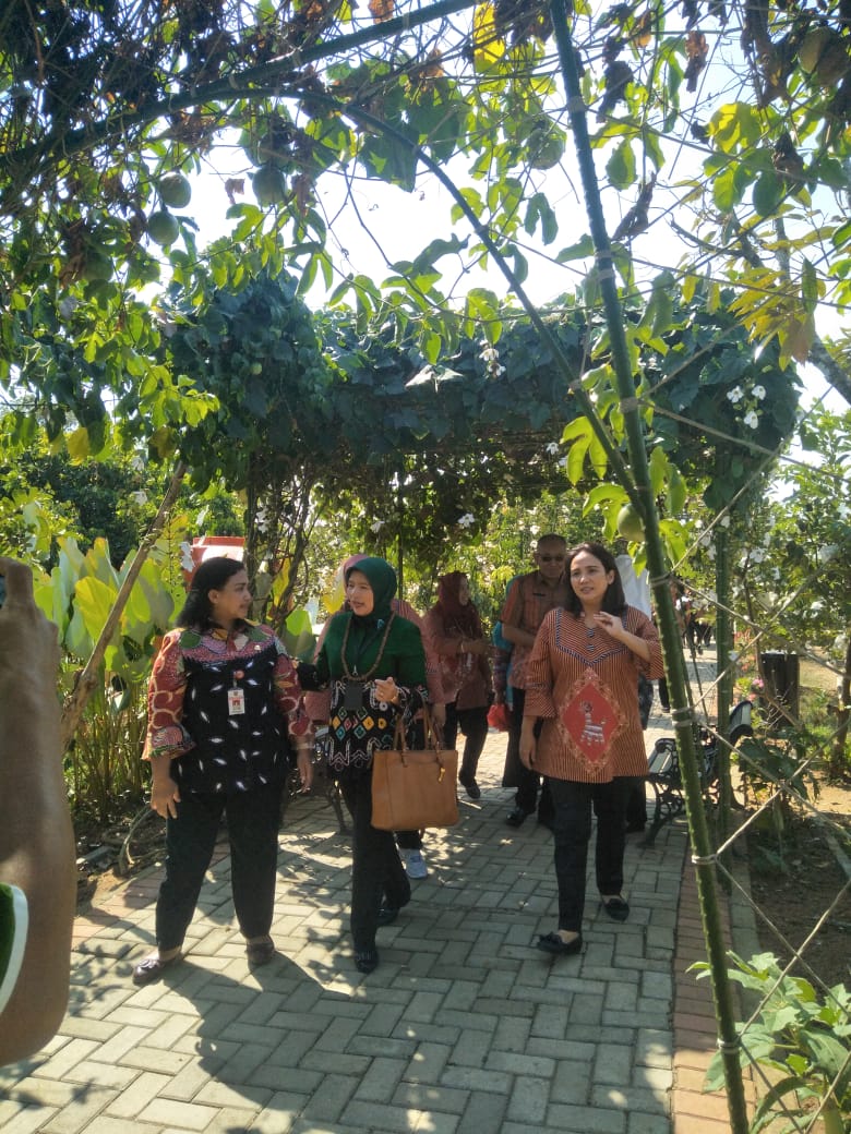 dispertan_smg's tweet photo. Penyambutan Tim Verifikasi Lapangan Wistara 2019 Kota Semarang di Agro Purwosari
#pertanian
#organik
#semarang
#pemkotsmg
#dispertan
#dispertansmg https://t.co/HhHFDH0qMy