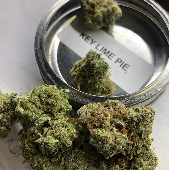 LaVated's tweet photo. A Sativa dominating hybrid that will create the perfect balance between indica and sativa, smoking a joint of this in the middle of the day will have you feeling productive all while feeling a great body high! #KeyLimePie #LAVated #HappyHour https://t.co/aturZNcAwa