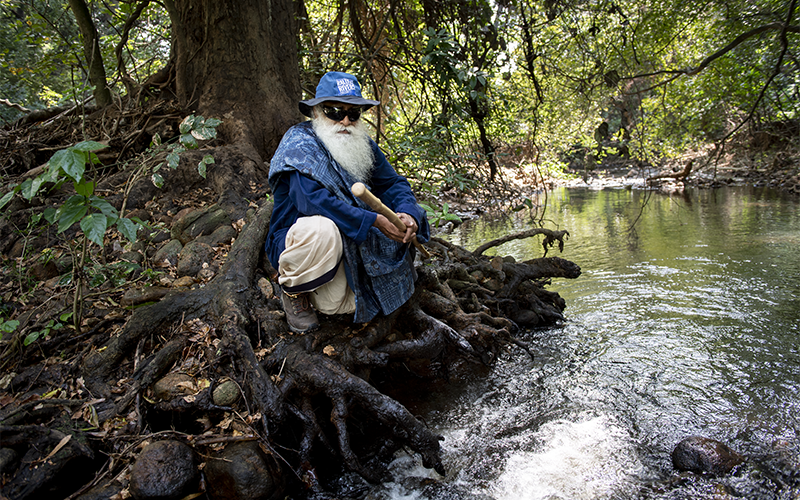 SadhguruJV's tweet photo. Fortunate for the nation Monsoon is near normal, but complacency during wet season and desperation during dry seasons is not the way. Trees and vegetation only way to keep the blessings of Monsoon for the whole year. #FREEINDIAFromWaterCrisis #SadhguruQuotes https://t.co/aveVLk0ana