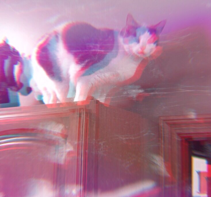 enchantedmeg13's tweet photo. this is my apppication to edit your photos I am so great see pls look it’s beautiful @tylerrjoseph https://t.co/pcGSeVGOhQ