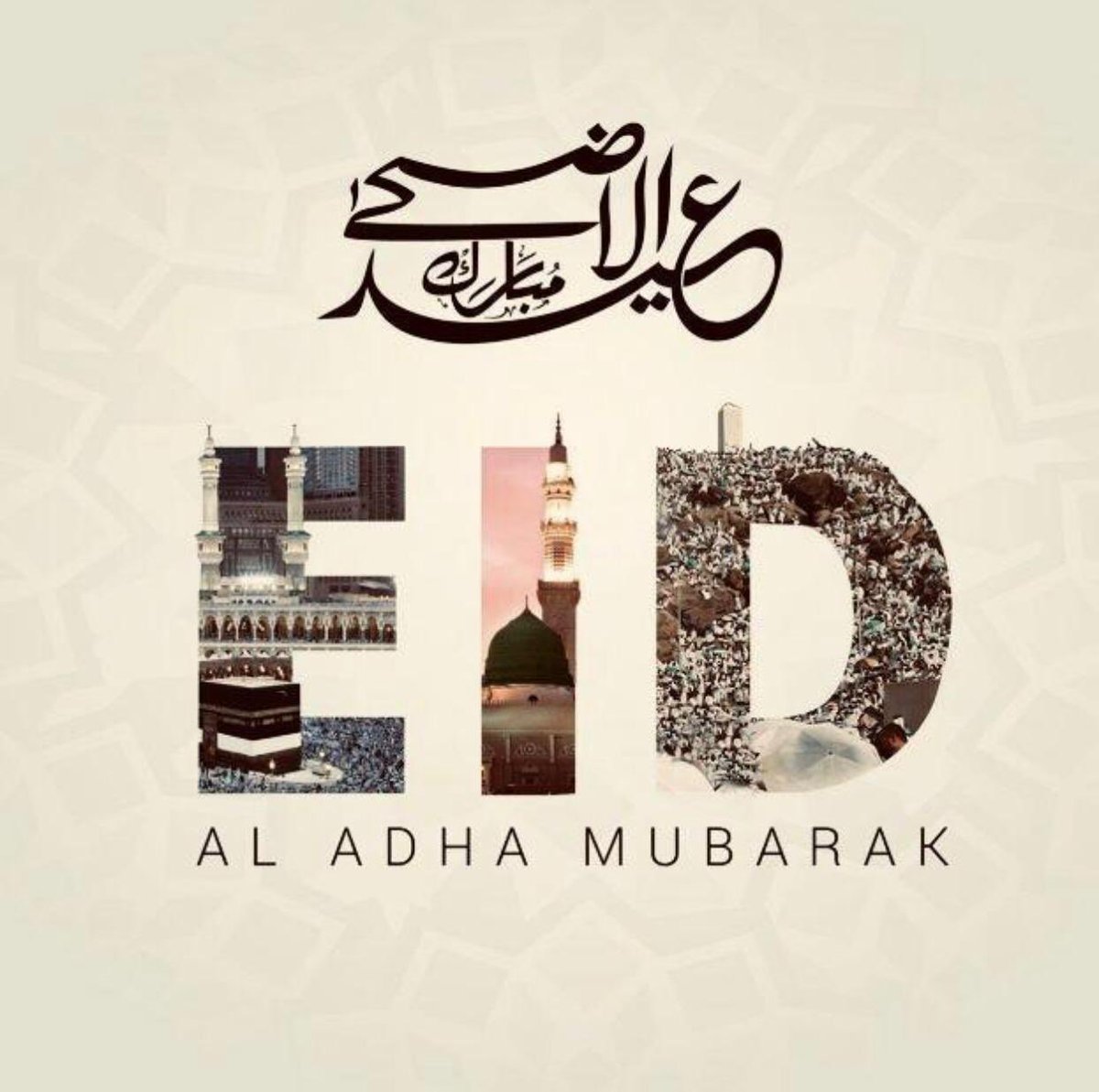 tmghouri tweet picture