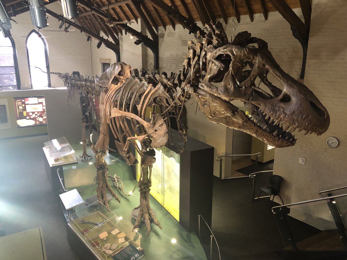 Blake Moon tweet media