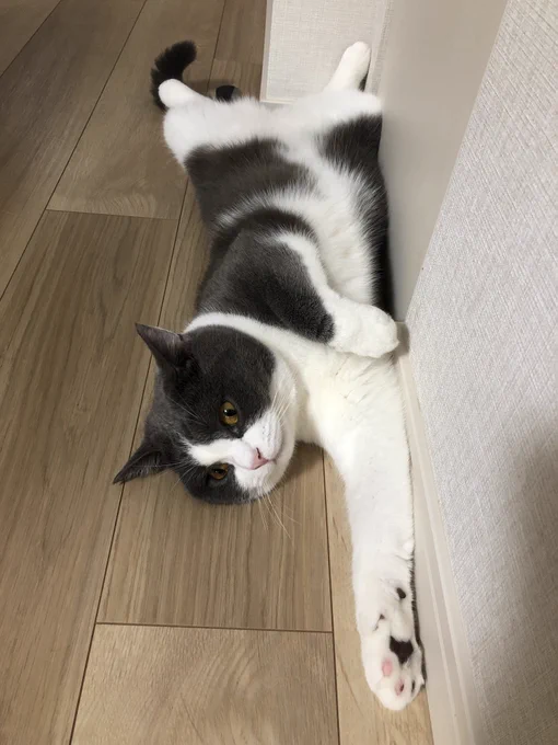 涼しい場所とったー! 